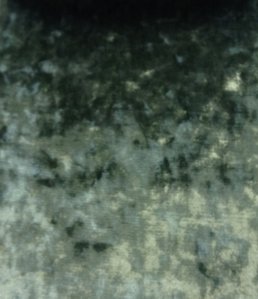 Shimmer Forest.